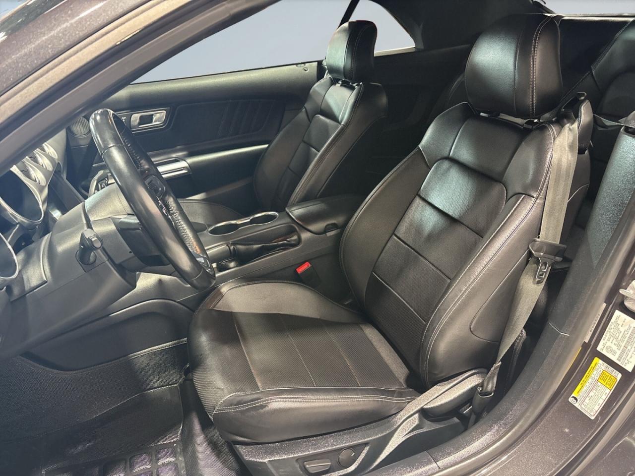 2022 Ford Mustang Convertible / Leather / Back up cam / Android Car Photo