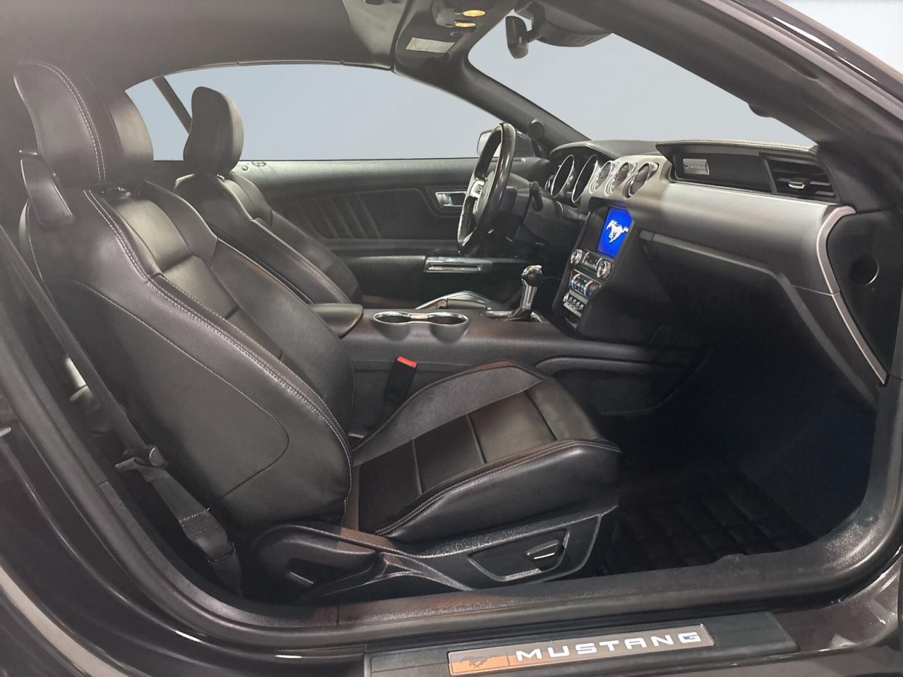 2022 Ford Mustang Convertible / Leather / Back up cam / Android Car Photo