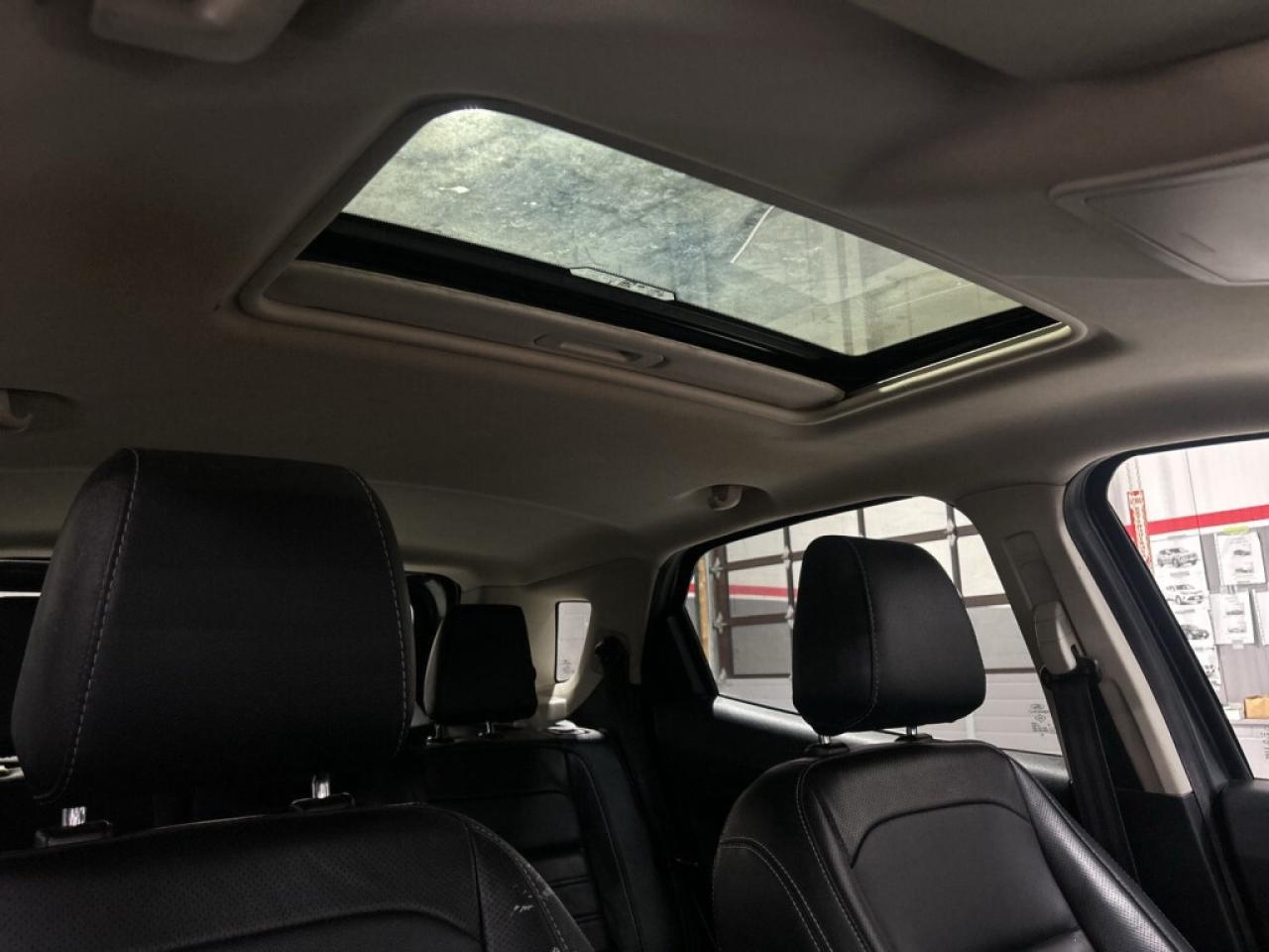2020 Ford EcoSport Stunning Titanium 4WD   Leather   Sunroof   NAV Photo