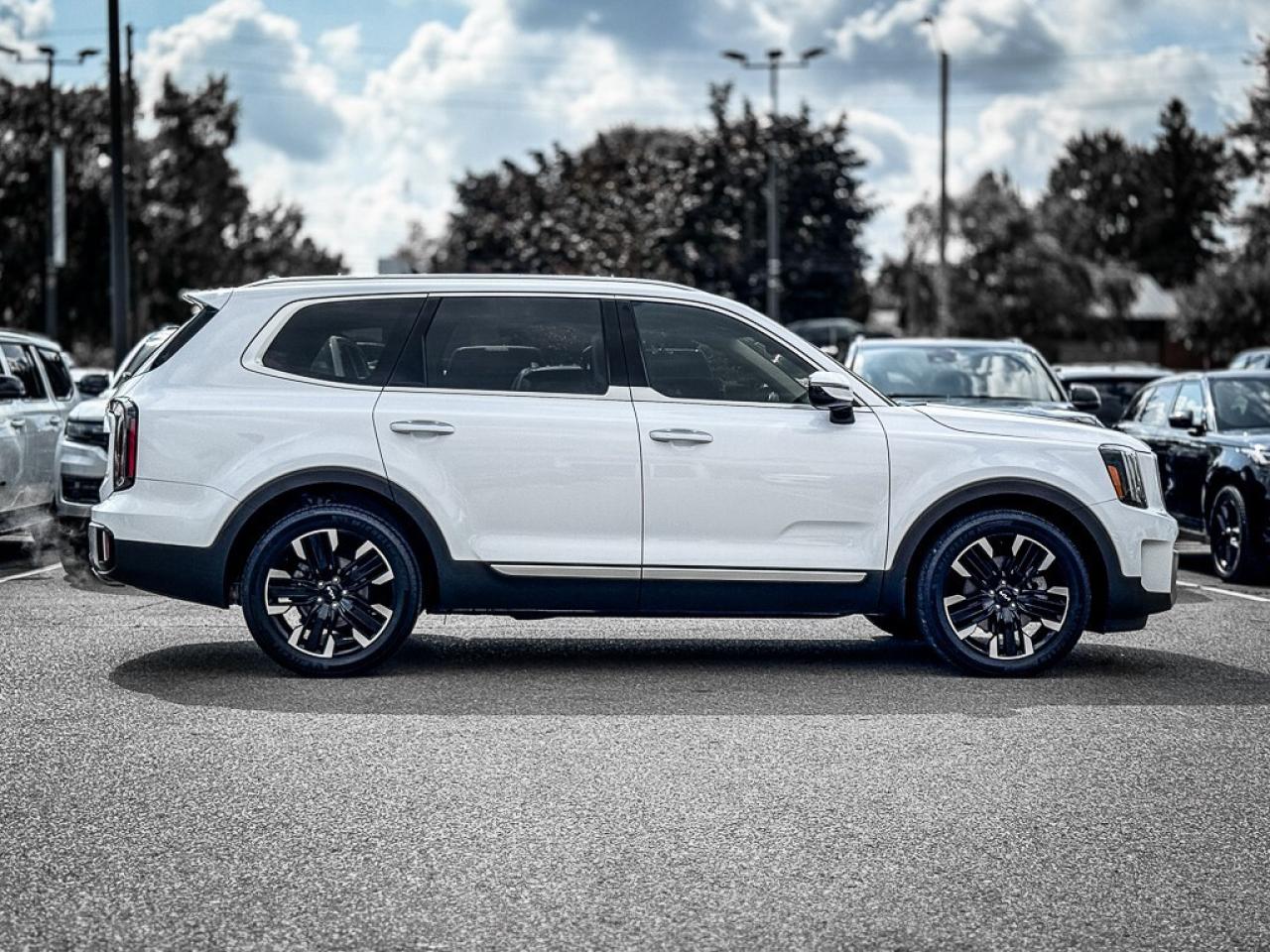 2024 Kia Telluride SX   PANO ROOF   HEATED/VENTED LEATHER   CARPLAY Photo