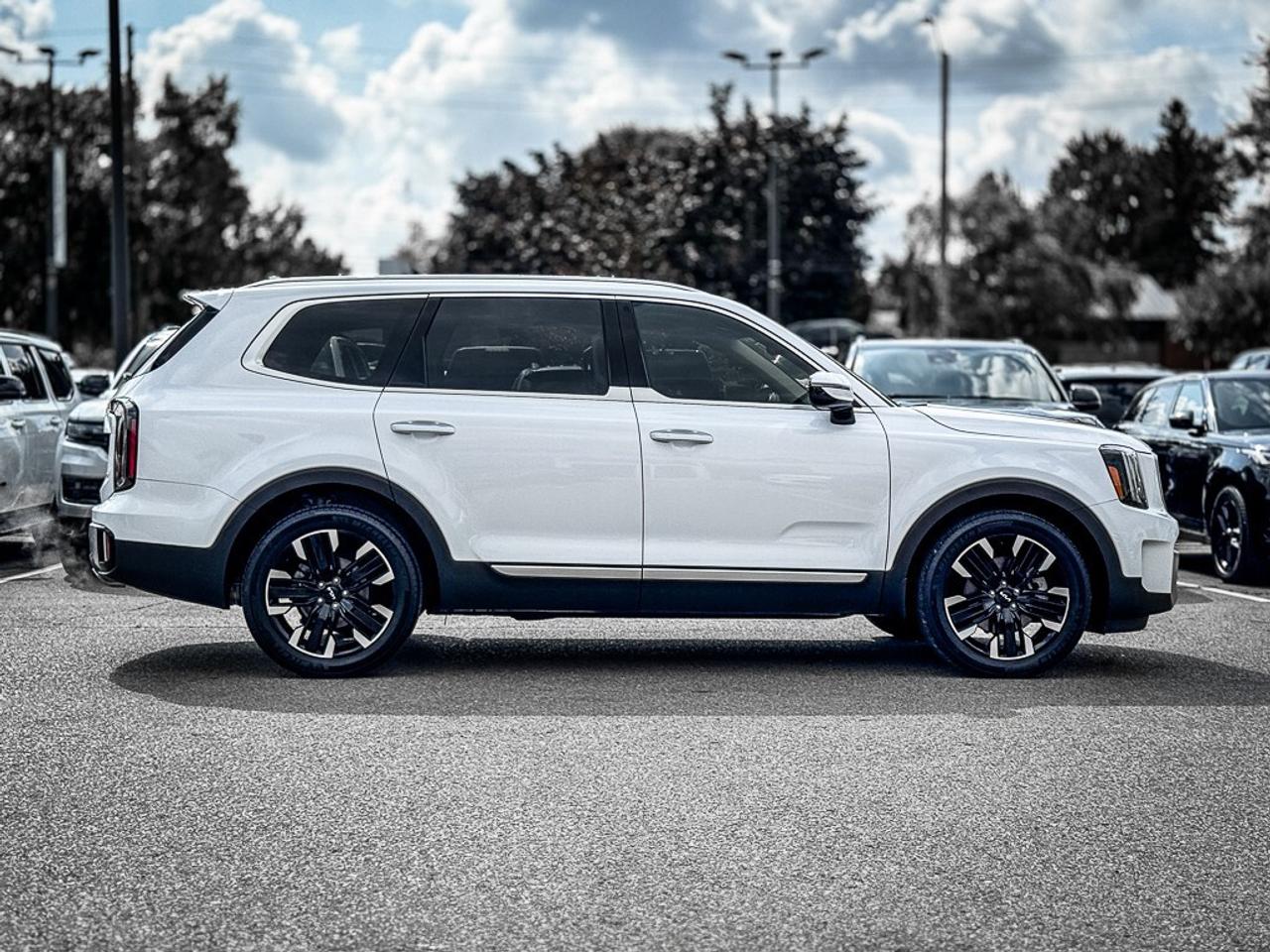 2024 Kia Telluride SX   PANO ROOF   HEATED/VENTED LEATHER   CARPLAY Photo