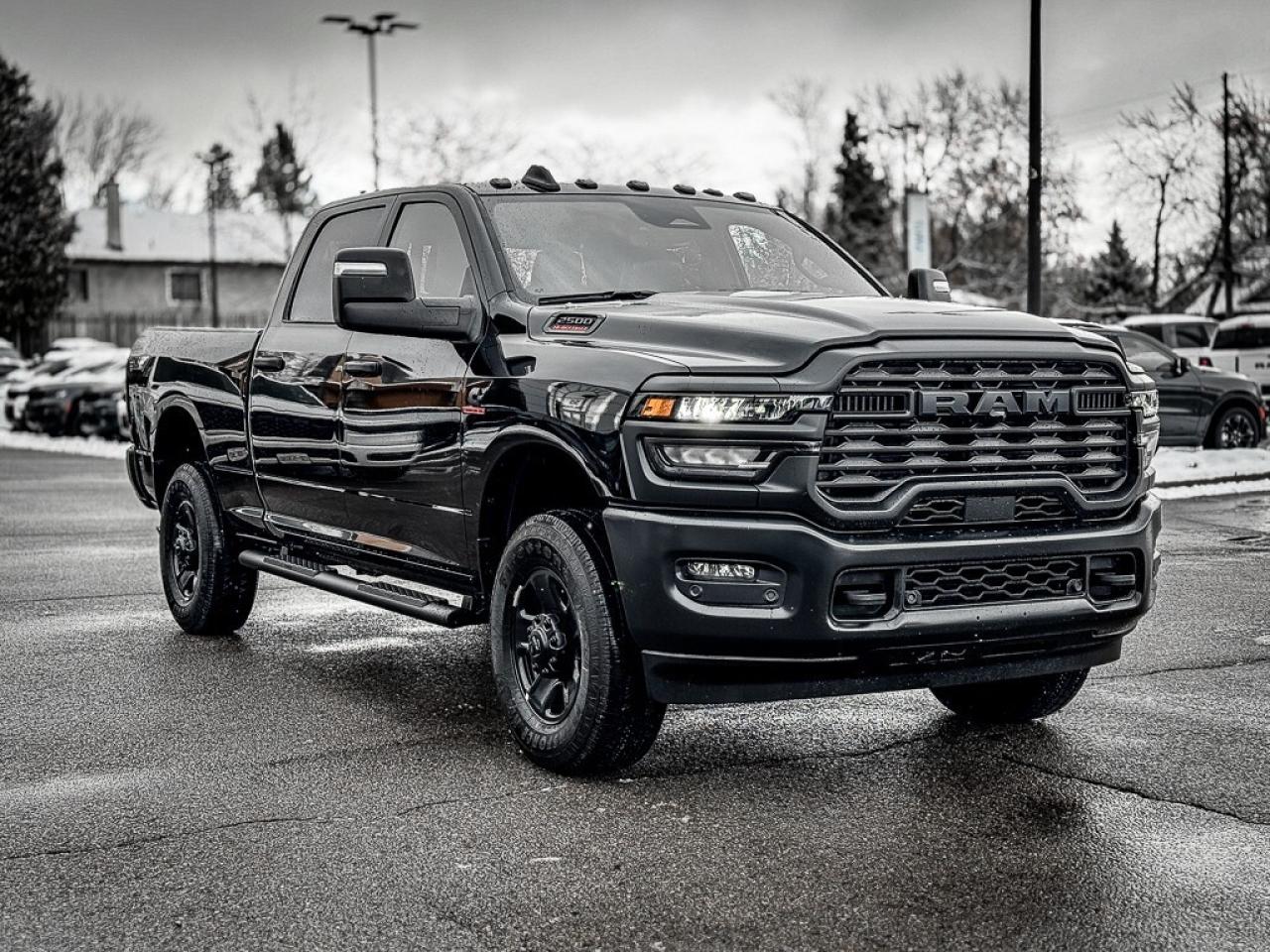 2025 RAM 2500 Tradesman   SOLD BY KRYSTAL THANK YOU!!! Photo2