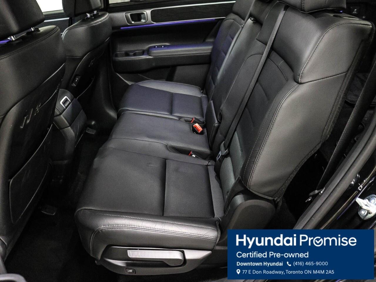 2025 Hyundai Santa Fe LUXURY AWD Photo