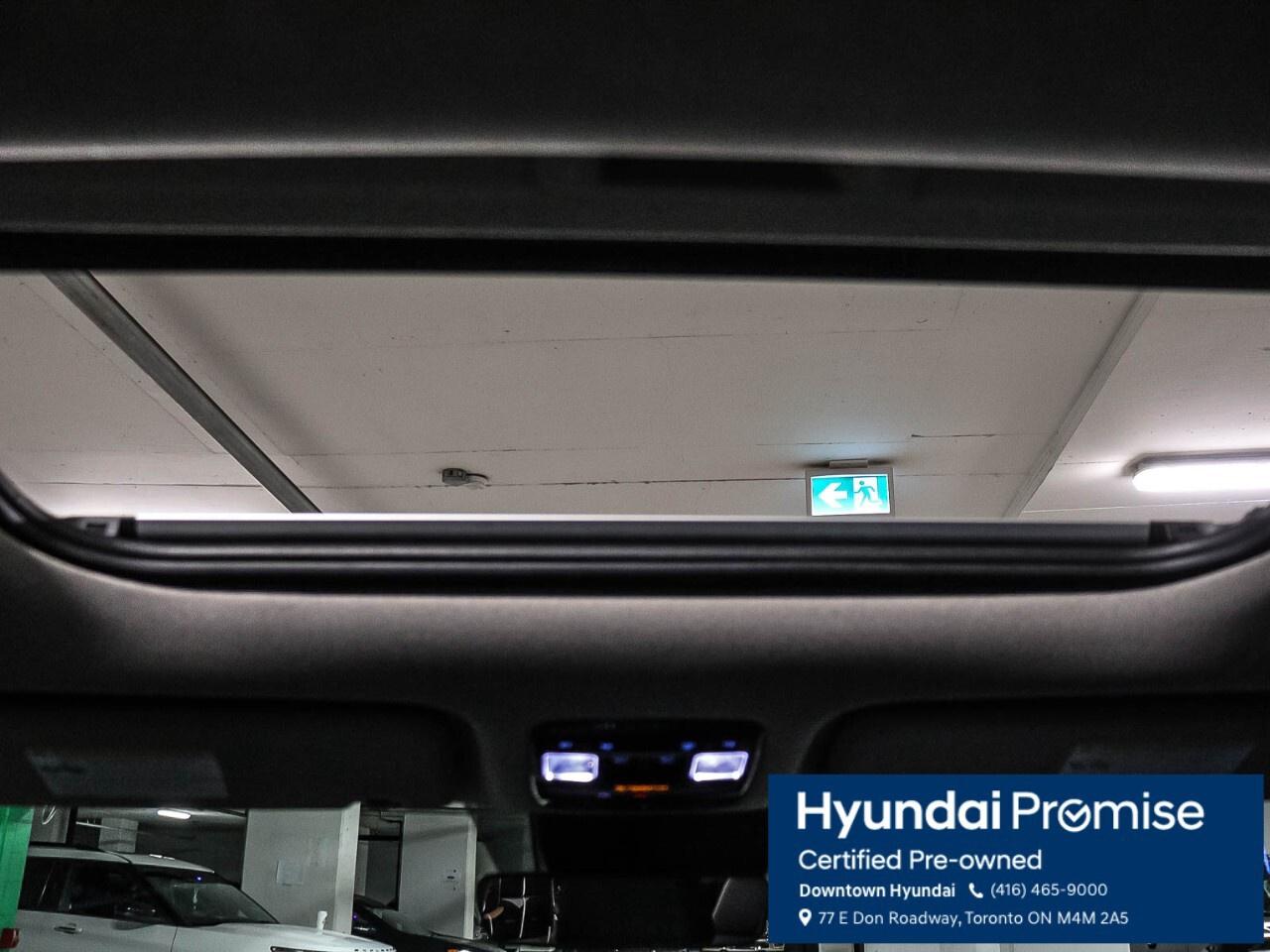 2025 Hyundai Santa Fe LUXURY AWD Photo