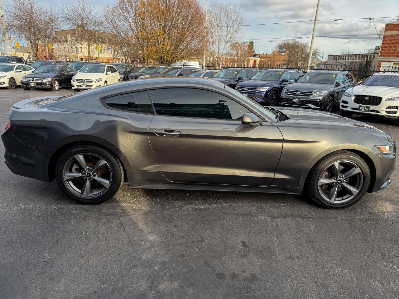 2015 Ford Mustang Fastback   NAVI   REMOTE   NO ACCIDENTS   3.7L Photo