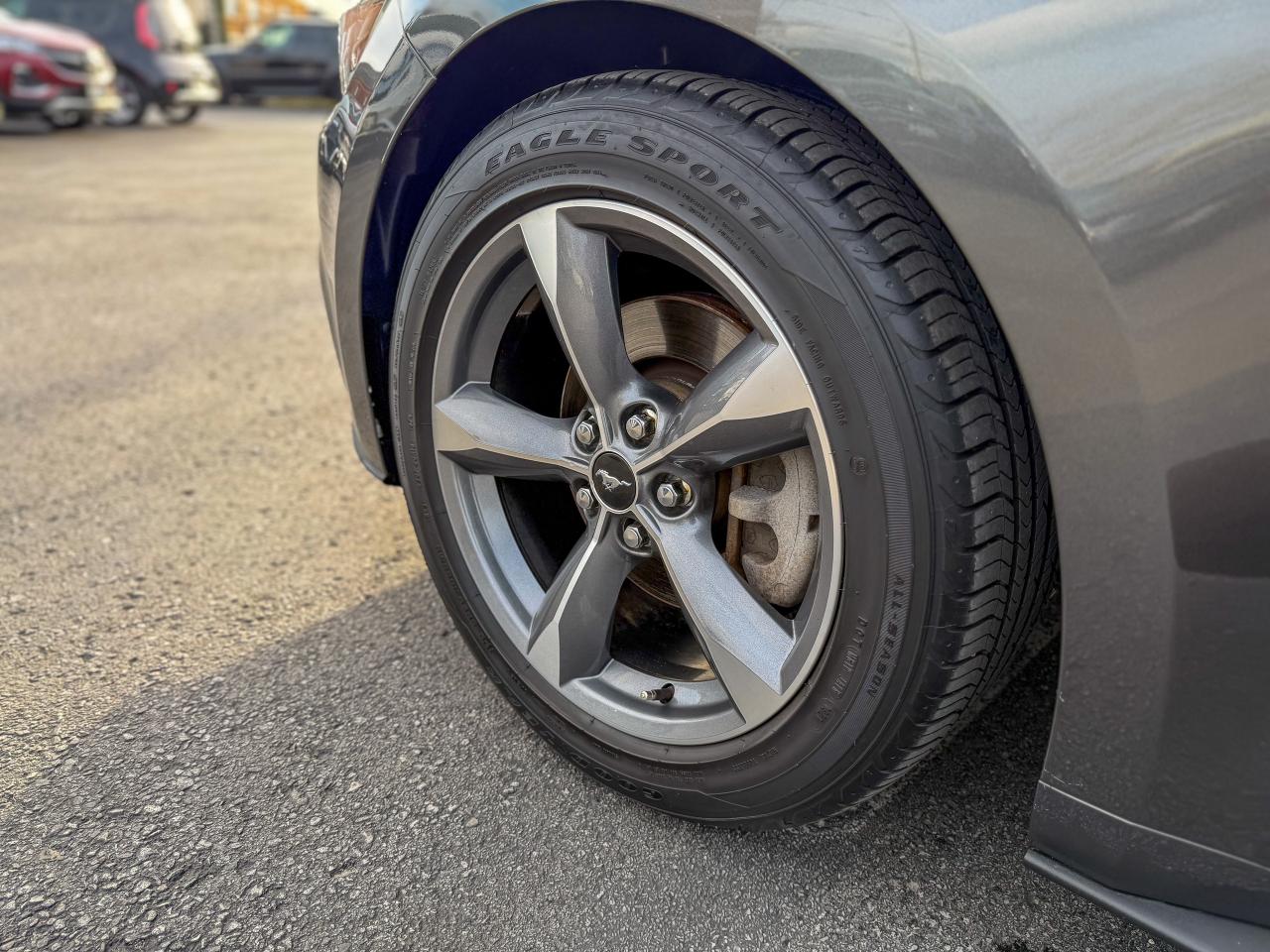 2015 Ford Mustang Fastback   NAVI   REMOTE   NO ACCIDENTS   3.7L Photo