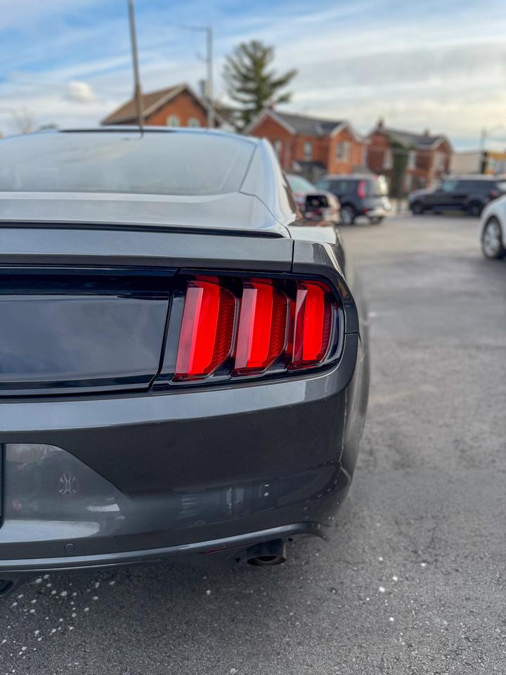 2015 Ford Mustang Fastback   NAVI   REMOTE   NO ACCIDENTS   3.7L Photo