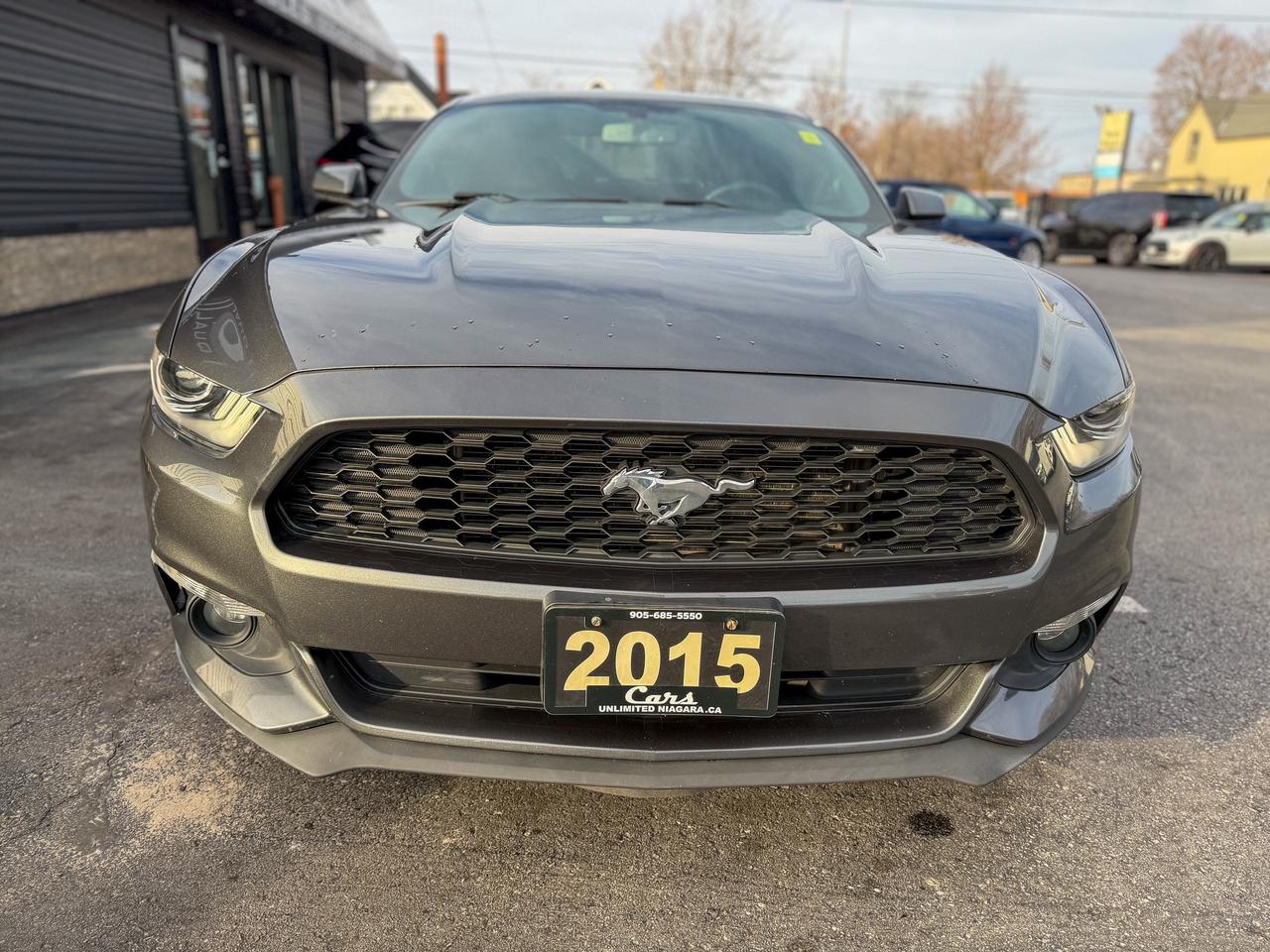 2015 Ford Mustang Fastback   NAVI   REMOTE   NO ACCIDENTS   3.7L Photo
