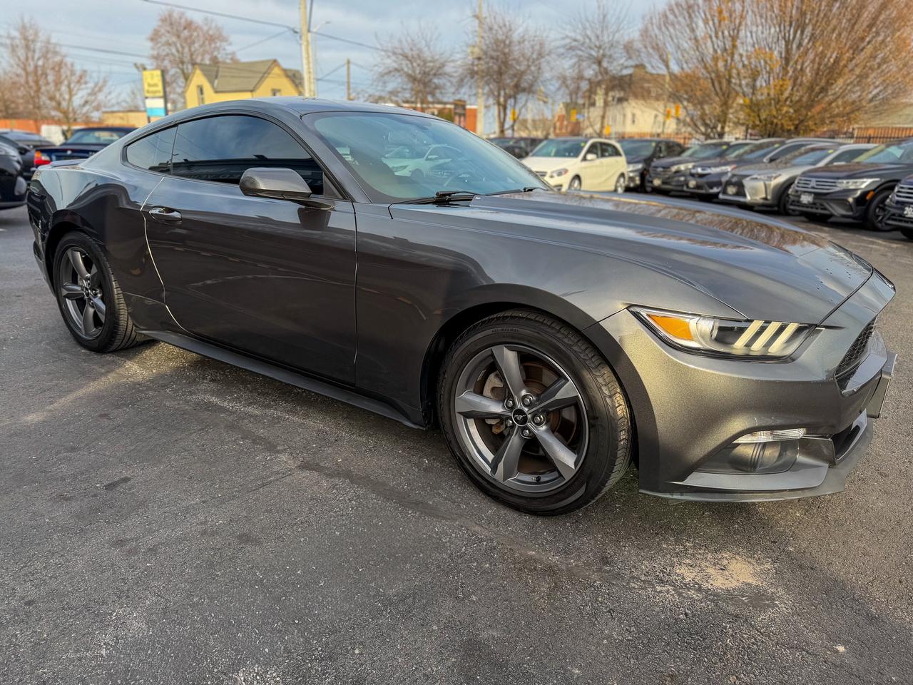 2015 Ford Mustang Fastback   NAVI   REMOTE   NO ACCIDENTS   3.7L Photo