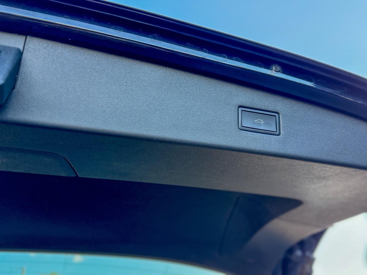 2024 Volkswagen Tiguan Comfortline/4MOTION/PANO/REMOTE/CAMERA/BSM/ACC Photo