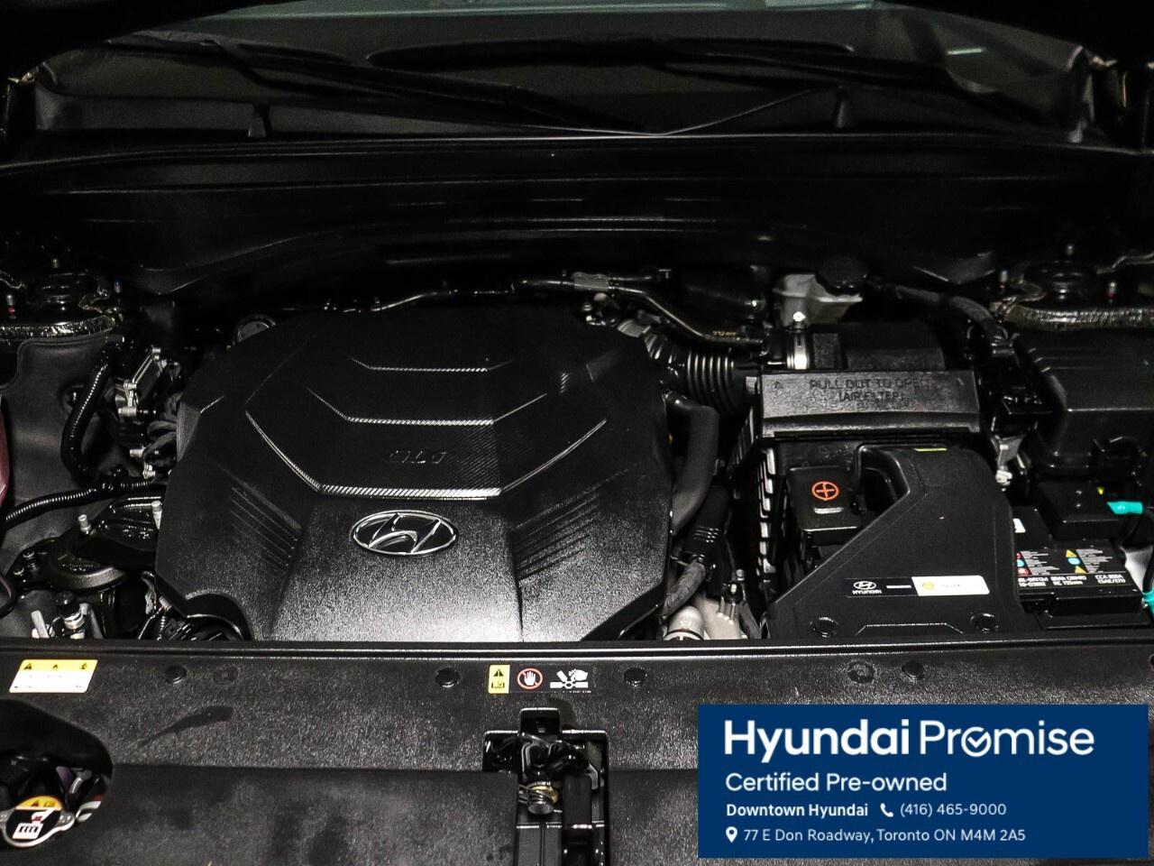 2024 Hyundai PALISADE Ultimate Calligraphy Photo