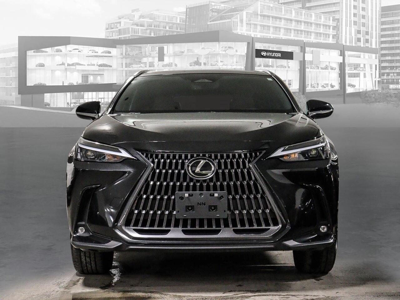 2024 Lexus NX NX 350h AWD Photo