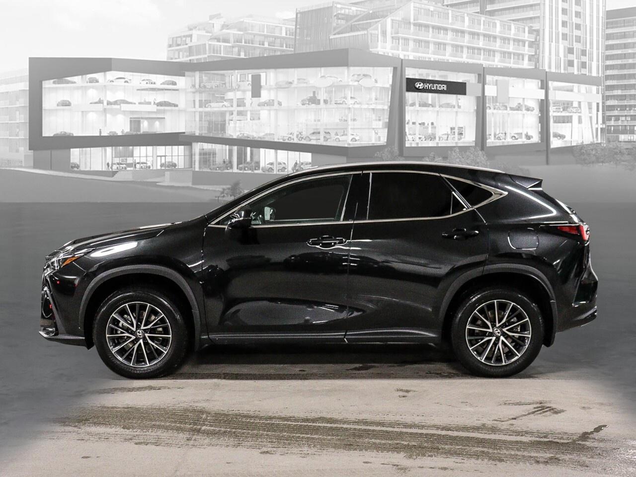 2024 Lexus NX NX 350h AWD Photo