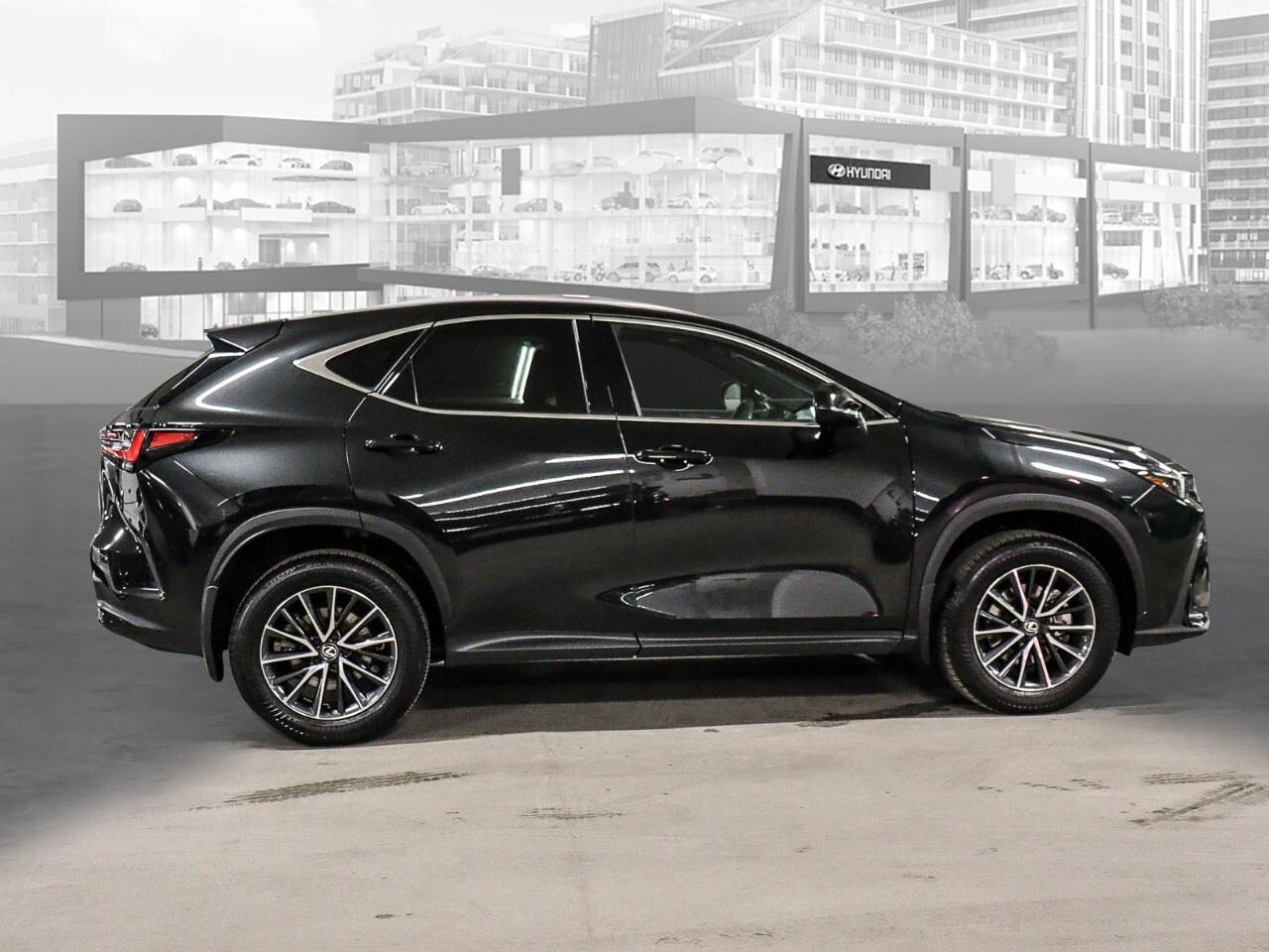 2024 Lexus NX NX 350h AWD Photo