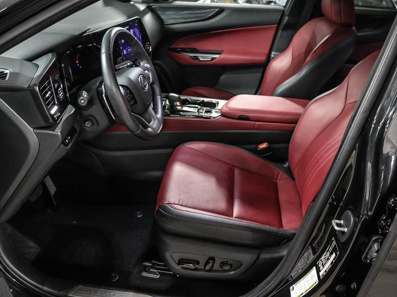 2024 Lexus NX NX 350h AWD Photo