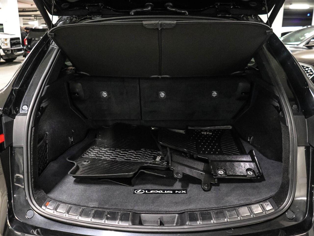 2024 Lexus NX NX 350h AWD Photo