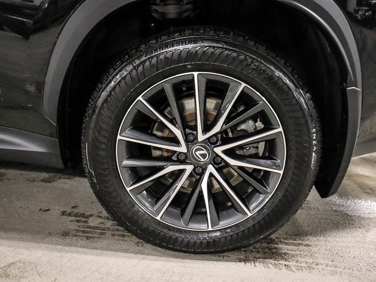 2024 Lexus NX NX 350h AWD Photo