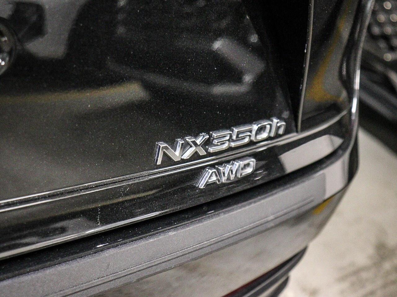 2024 Lexus NX NX 350h AWD Photo