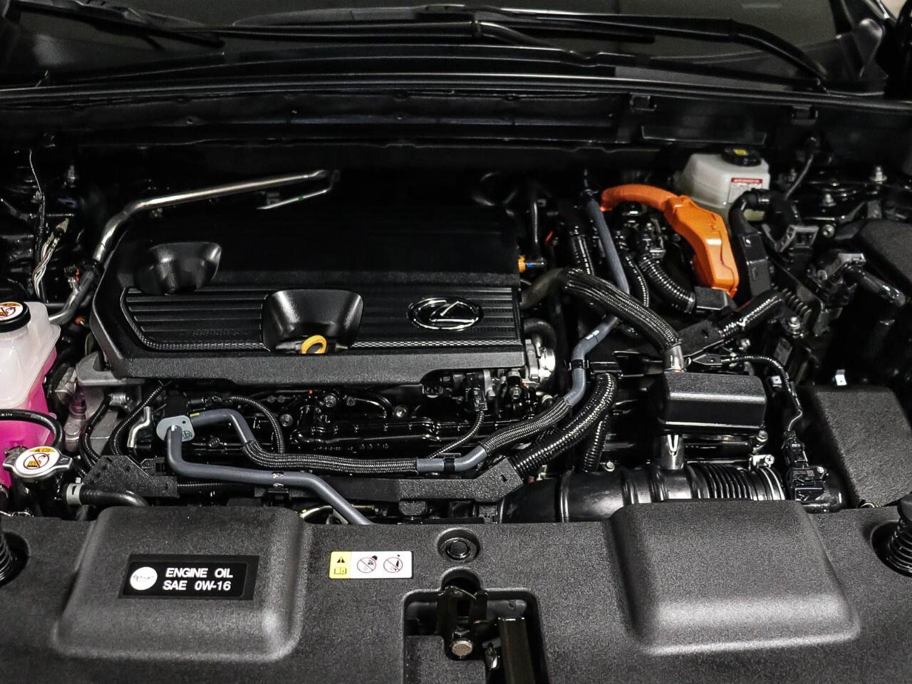 2024 Lexus NX NX 350h AWD Photo