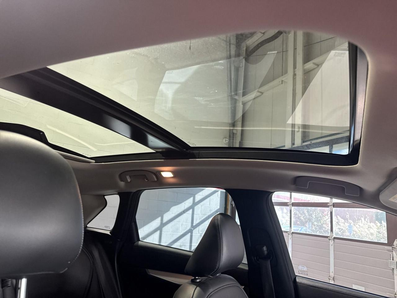 2021 Infiniti QX50 LUXE AWD / Sunroof / Android Carplay / Leather / D Photo