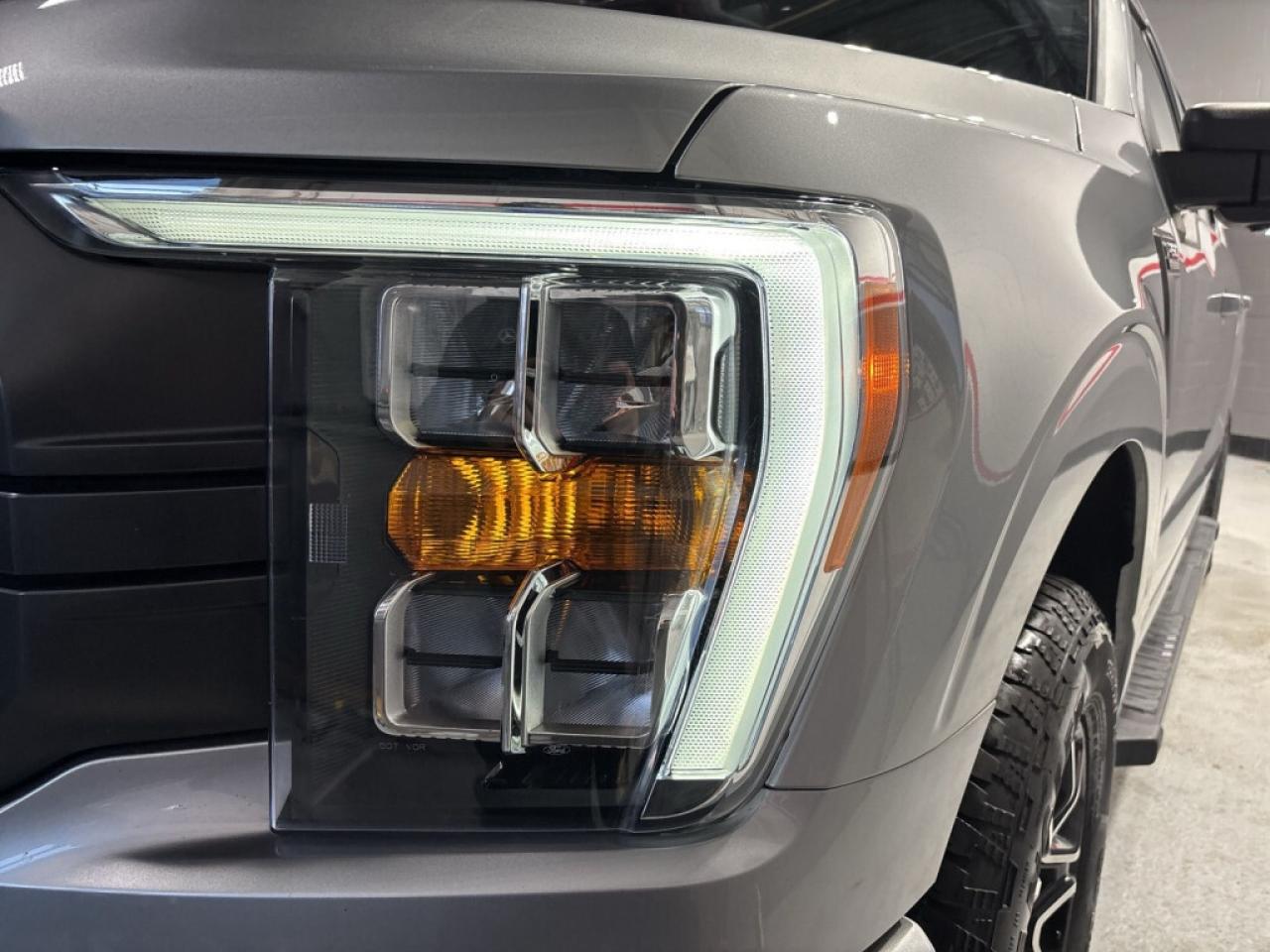 2023 Ford F-150 XLT FX4 Off Road Pkg / 4WD Equipment Group 302A / Photo