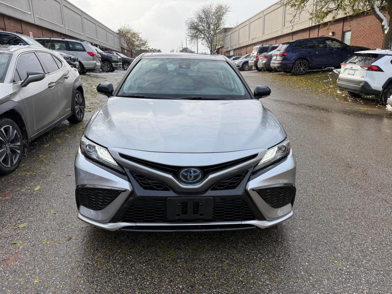 2022 Toyota Camry Hybrid XSE Auto Photo