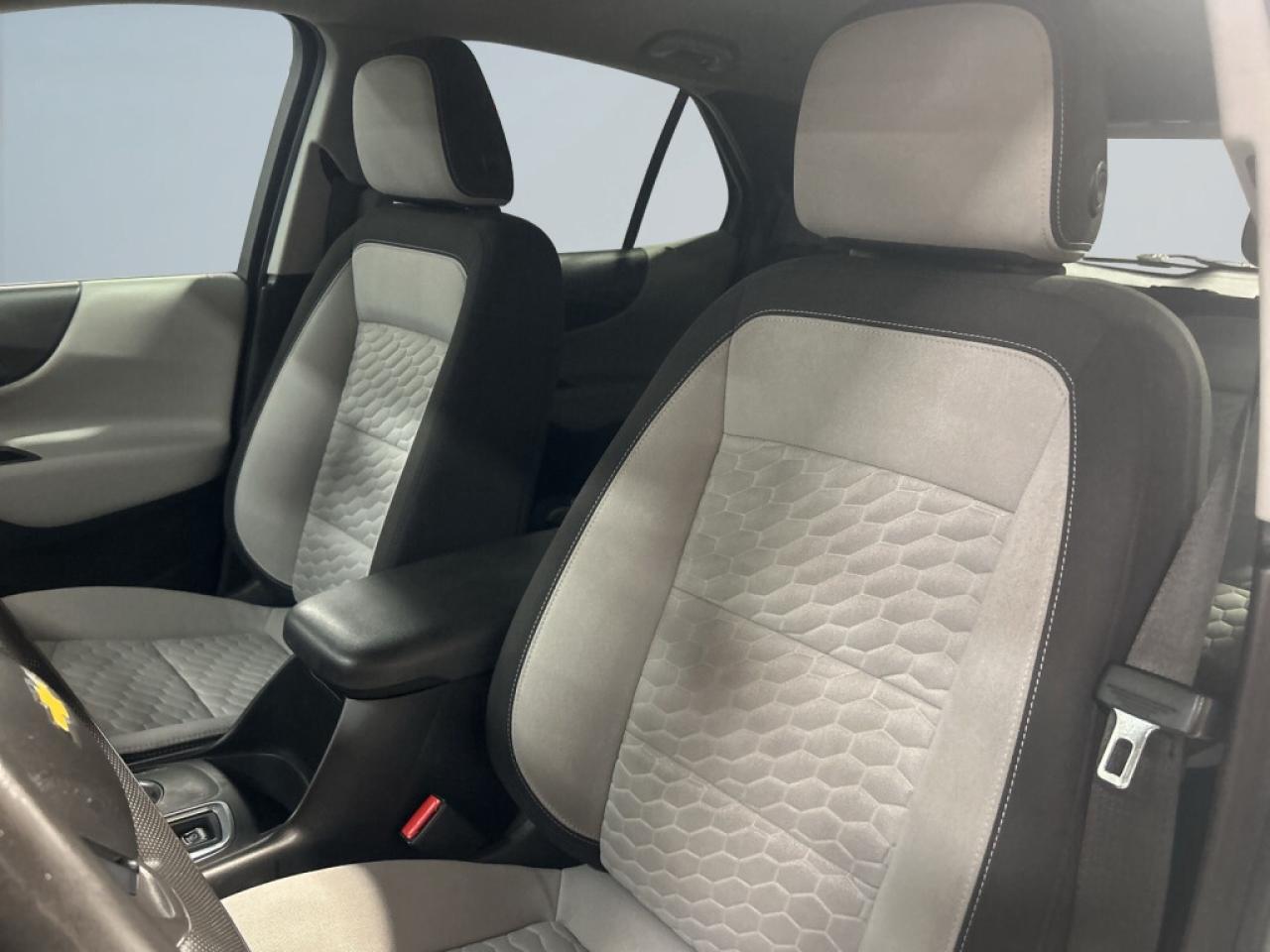 2019 Chevrolet Equinox LS   Remote Start   Backup Camera   2-Tone Seating Photo