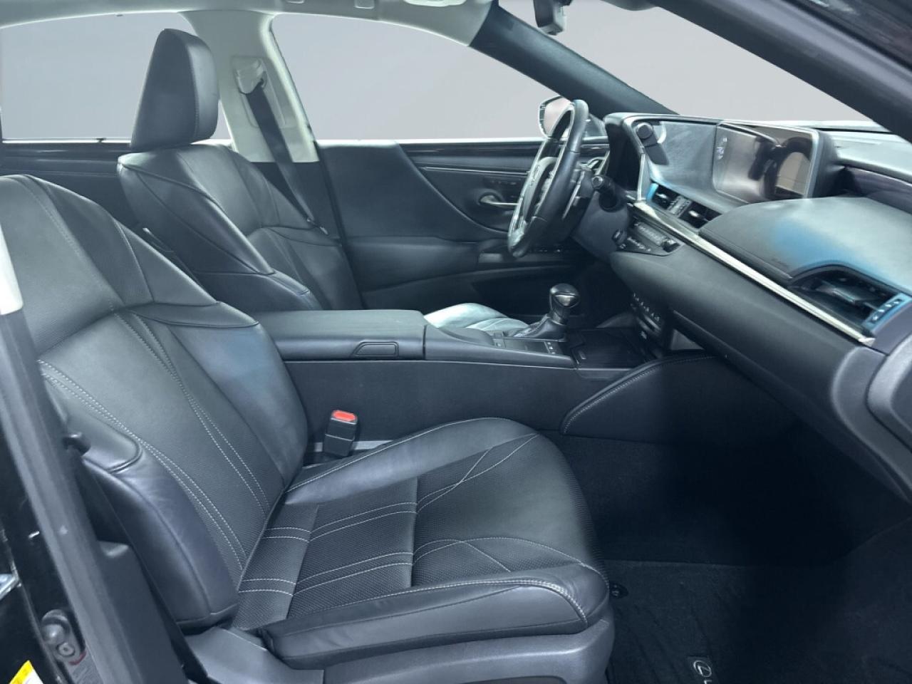 2019 Lexus ES 350 F SPORT ES 350/SIGNATURE/Sunroof/Leather Vented an Photo