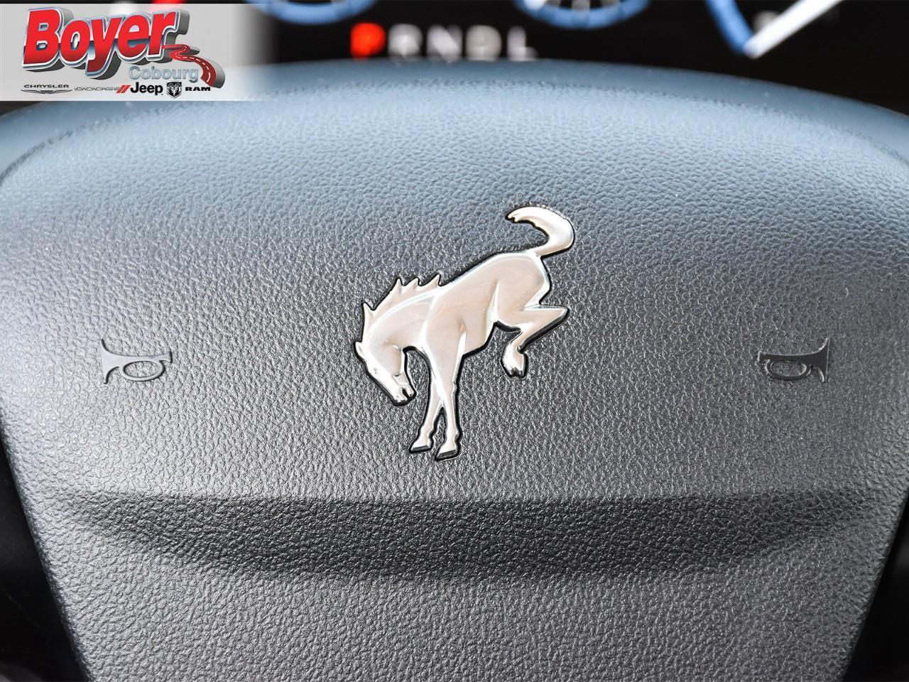 2023 Ford Bronco Sport Big Bend Photo