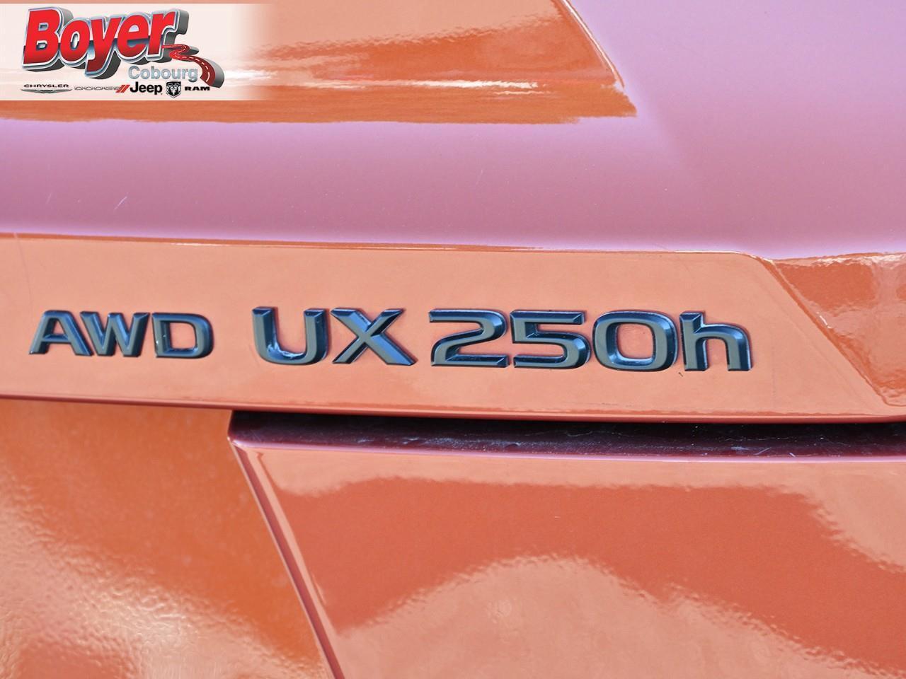 2024 Lexus UX 250H  Photo