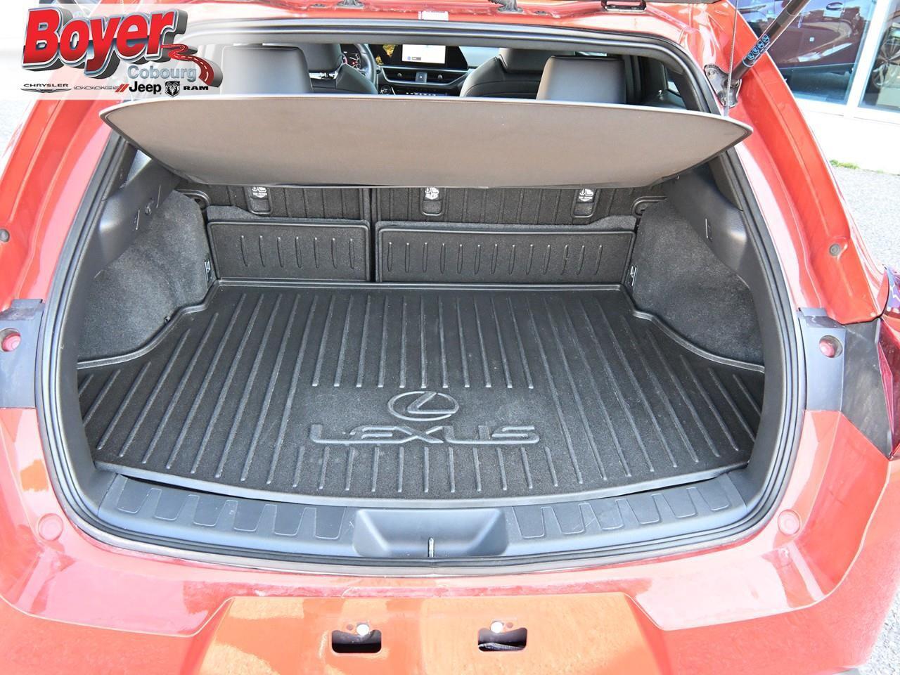 2024 Lexus UX 250H  Photo