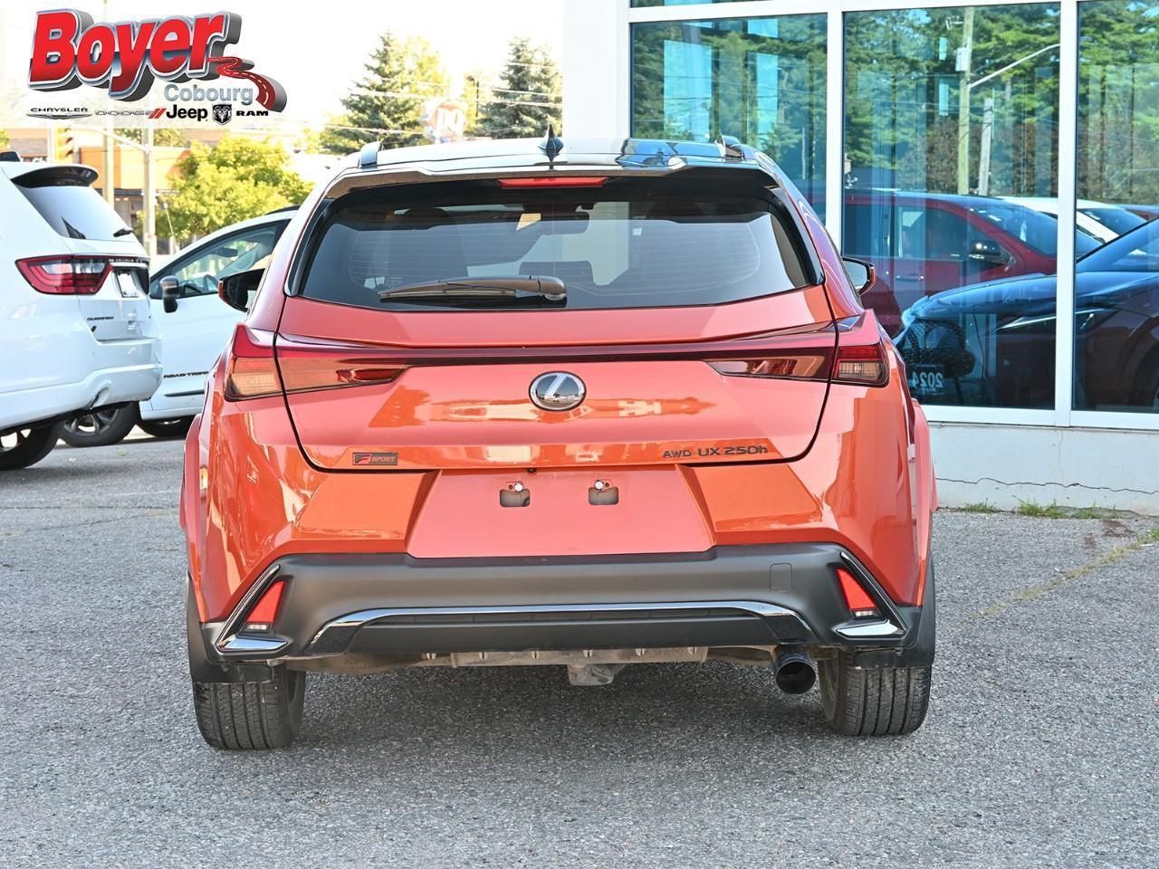 2024 Lexus UX 250H  Photo