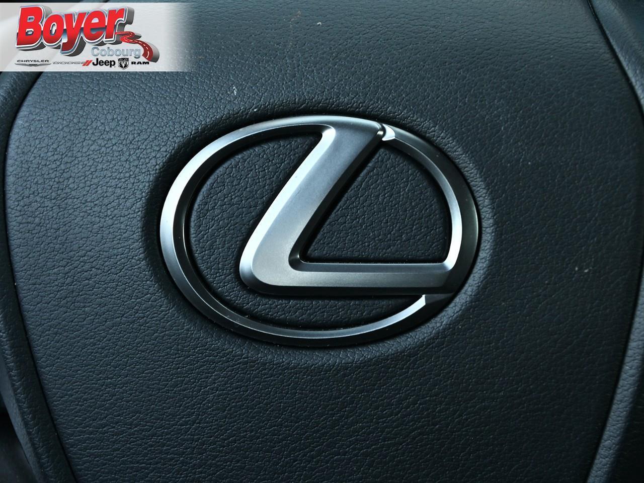 2024 Lexus UX 250H  Photo