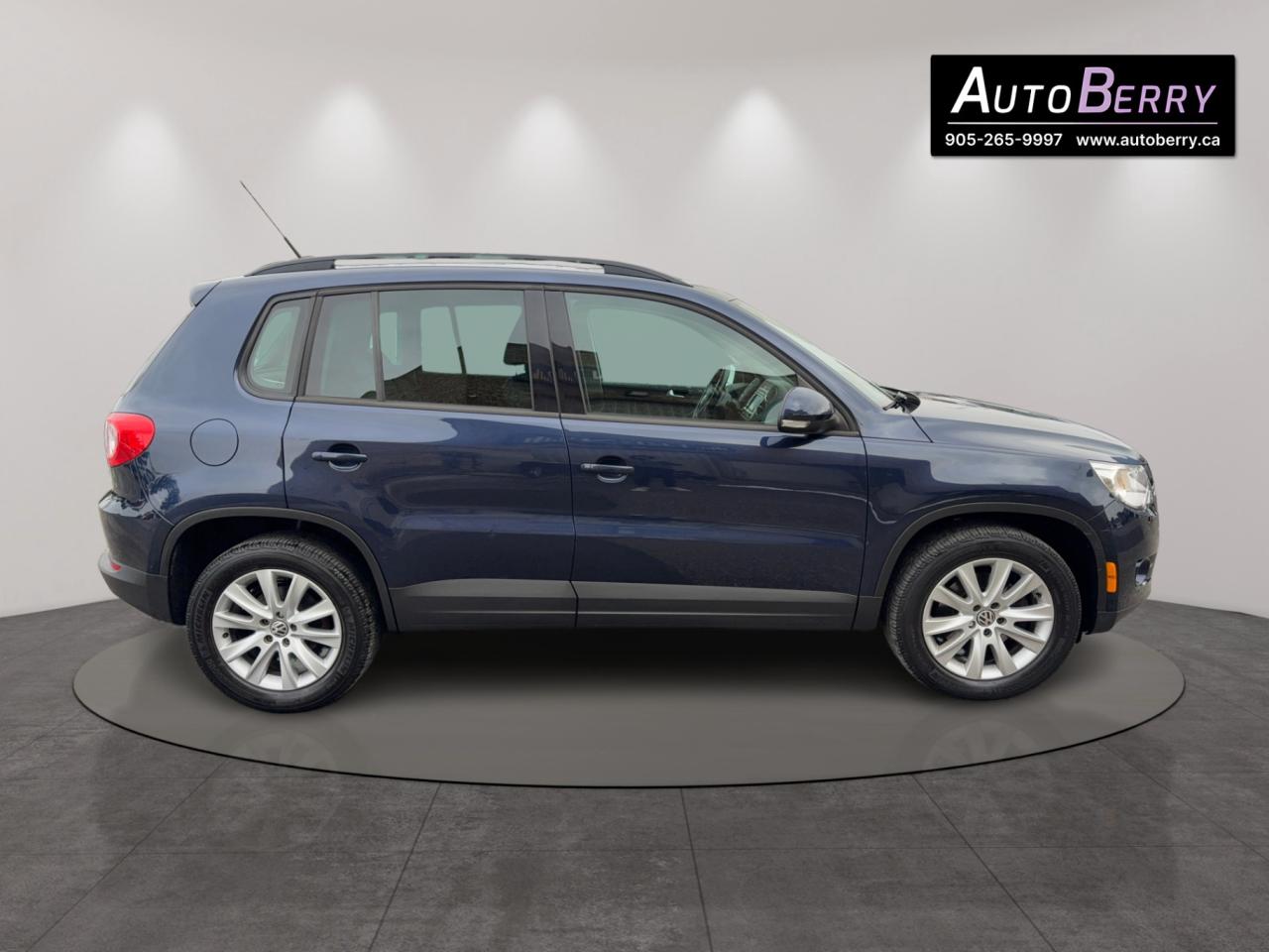 2011 Volkswagen Tiguan 4dr Auto Trendline 4Motion Photo