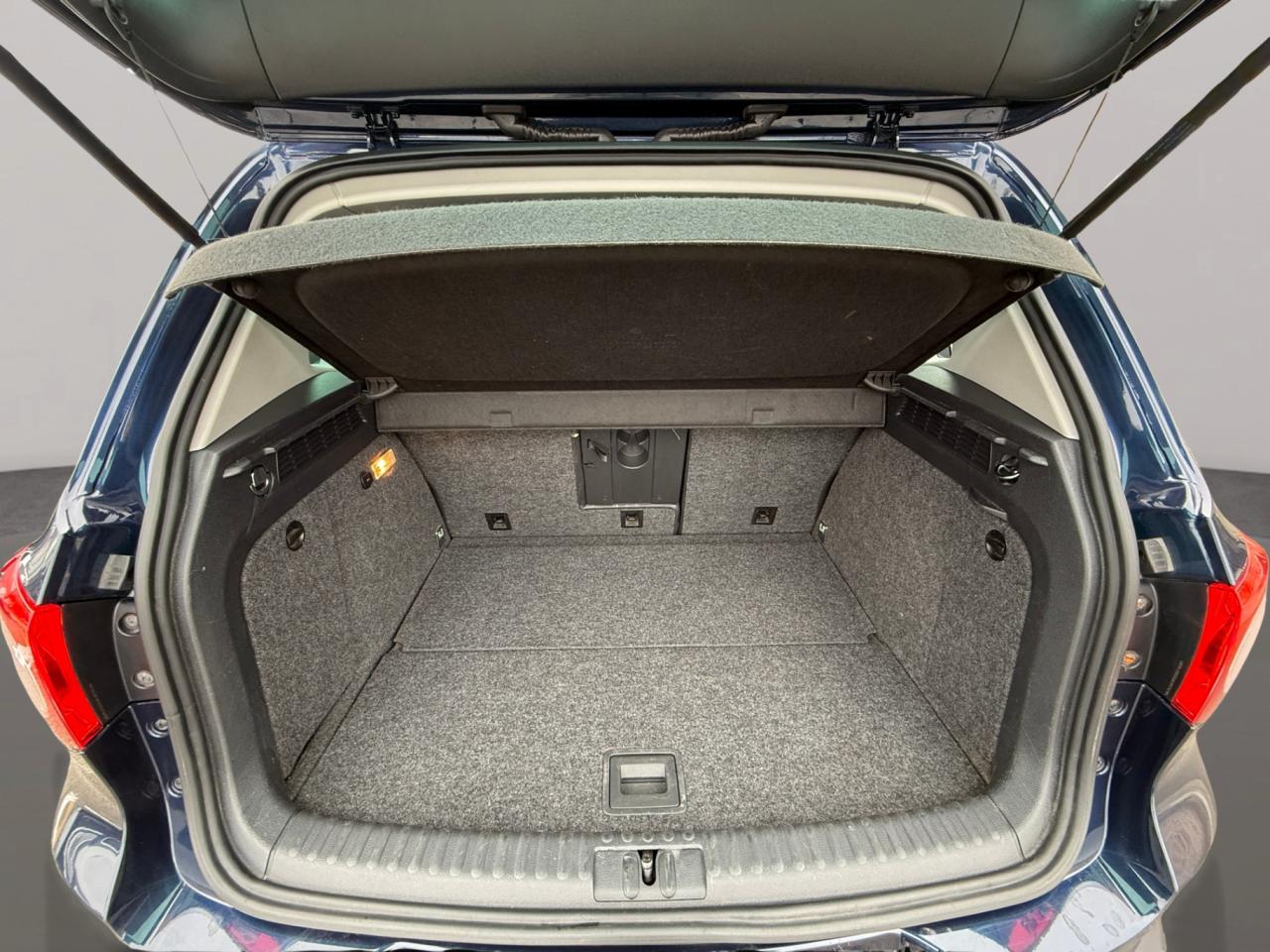 2011 Volkswagen Tiguan 4dr Auto Trendline 4Motion Photo