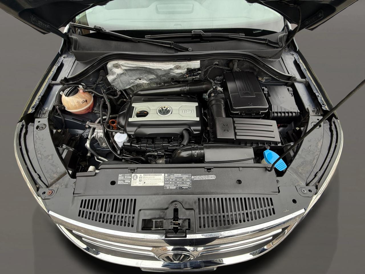 2011 Volkswagen Tiguan 4dr Auto Trendline 4Motion Photo