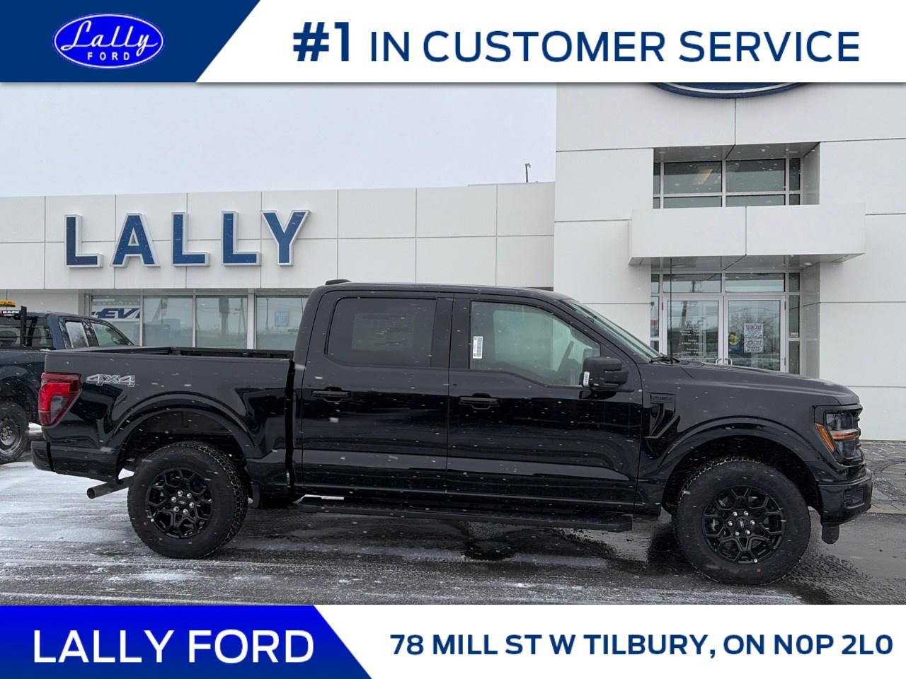 2025 Ford F-150 XLT 4WD SuperCrew 5.5' Box Photo