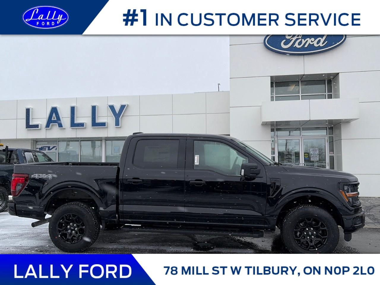 2025 Ford F-150 XLT 4WD SuperCrew 5.5' Box Photo