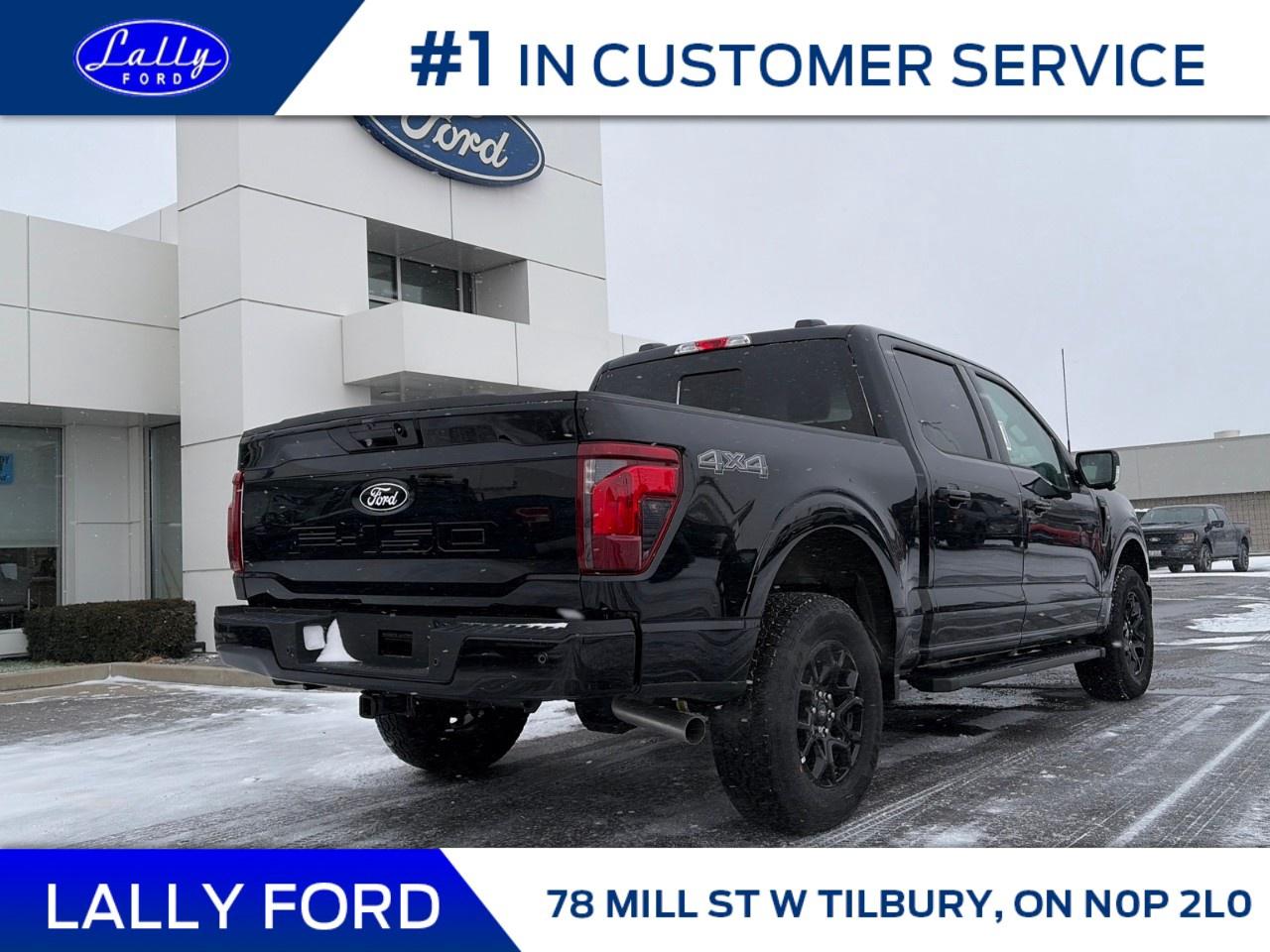 2025 Ford F-150 XLT 4WD SuperCrew 5.5' Box Photo