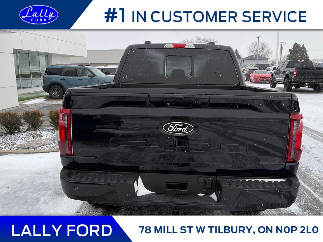 2025 Ford F-150 XLT 4WD SuperCrew 5.5' Box Photo