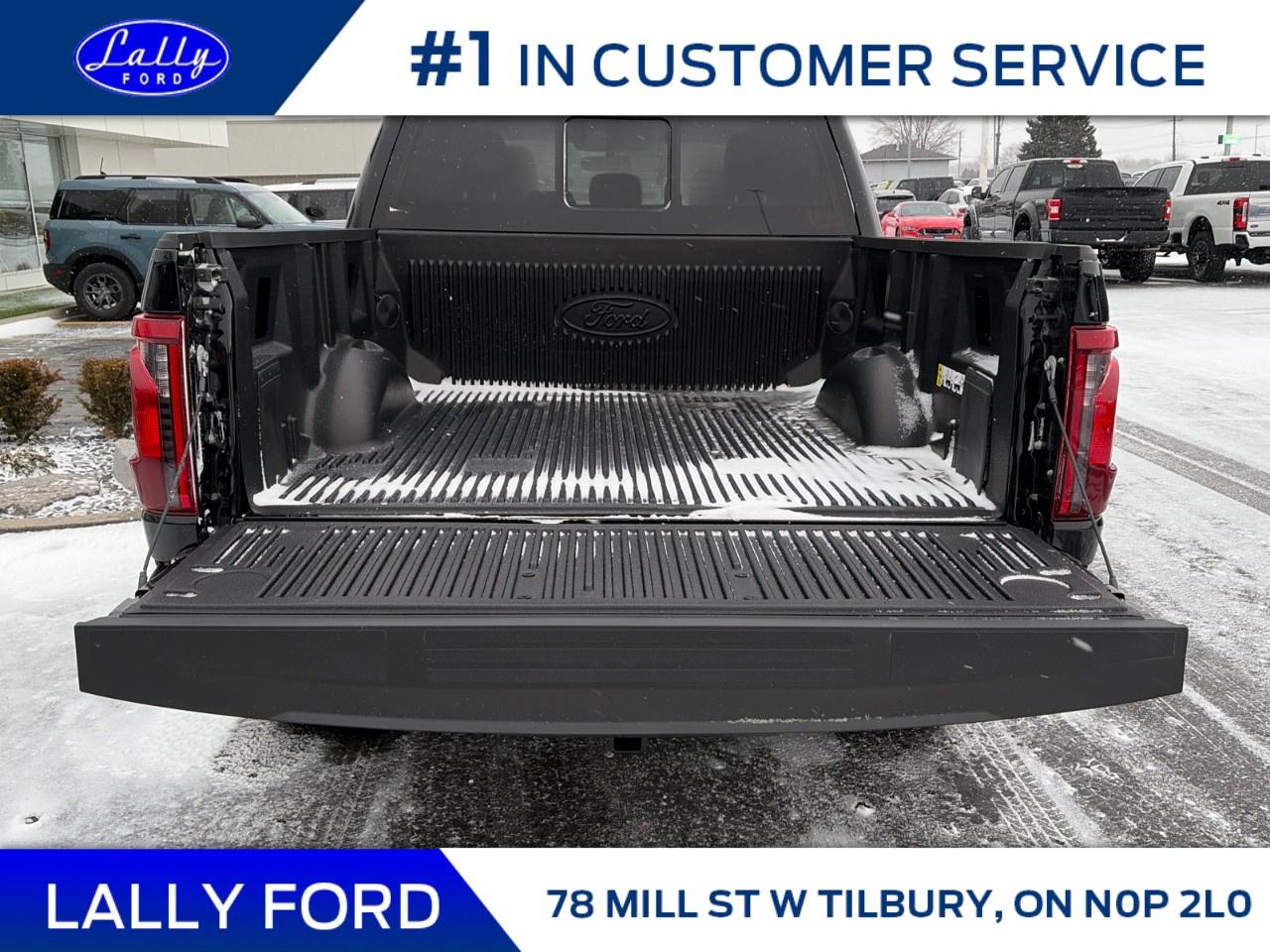 2025 Ford F-150 XLT 4WD SuperCrew 5.5' Box Photo