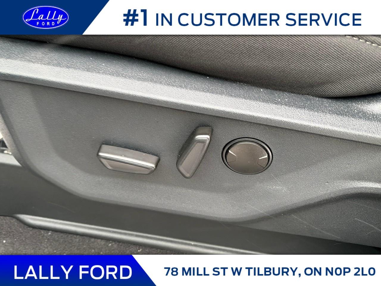 2025 Ford F-150 XLT 4WD SuperCrew 5.5' Box Photo