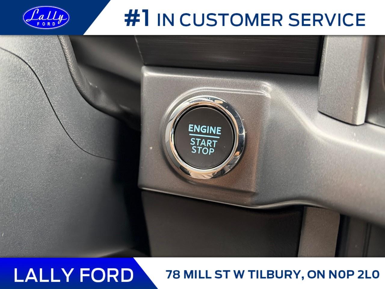 2025 Ford F-150 XLT 4WD SuperCrew 5.5' Box Photo