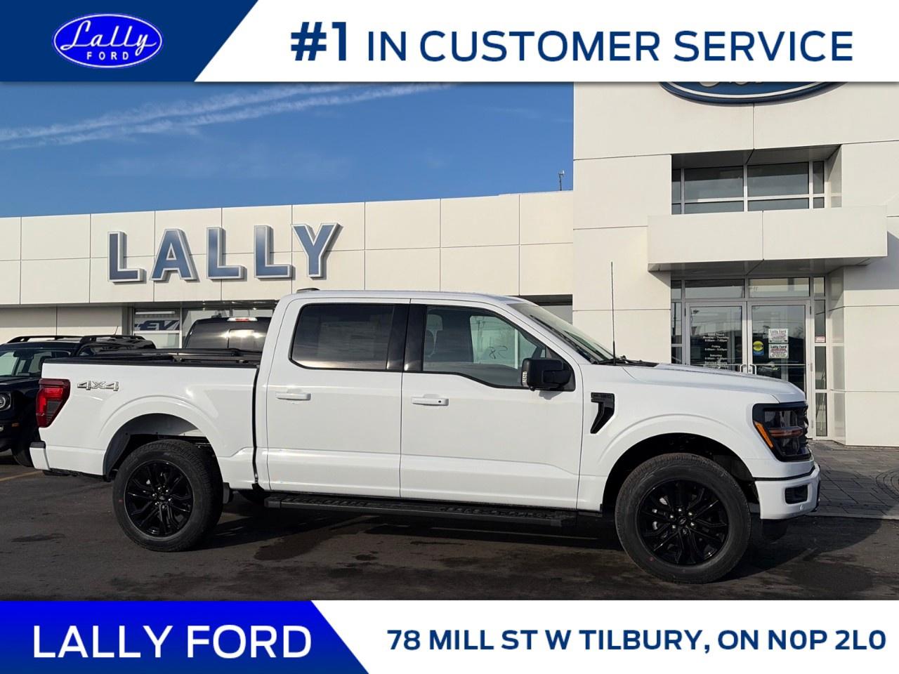 2025 Ford F-150 XLT 4WD SuperCrew 5.5' Box Photo