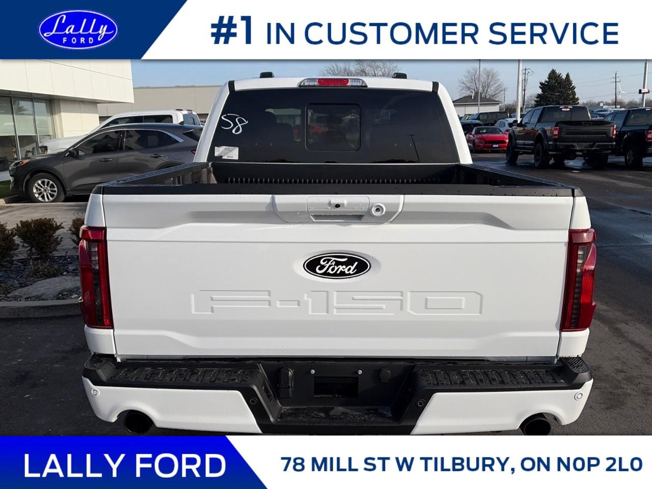 2025 Ford F-150 XLT 4WD SuperCrew 5.5' Box Photo3