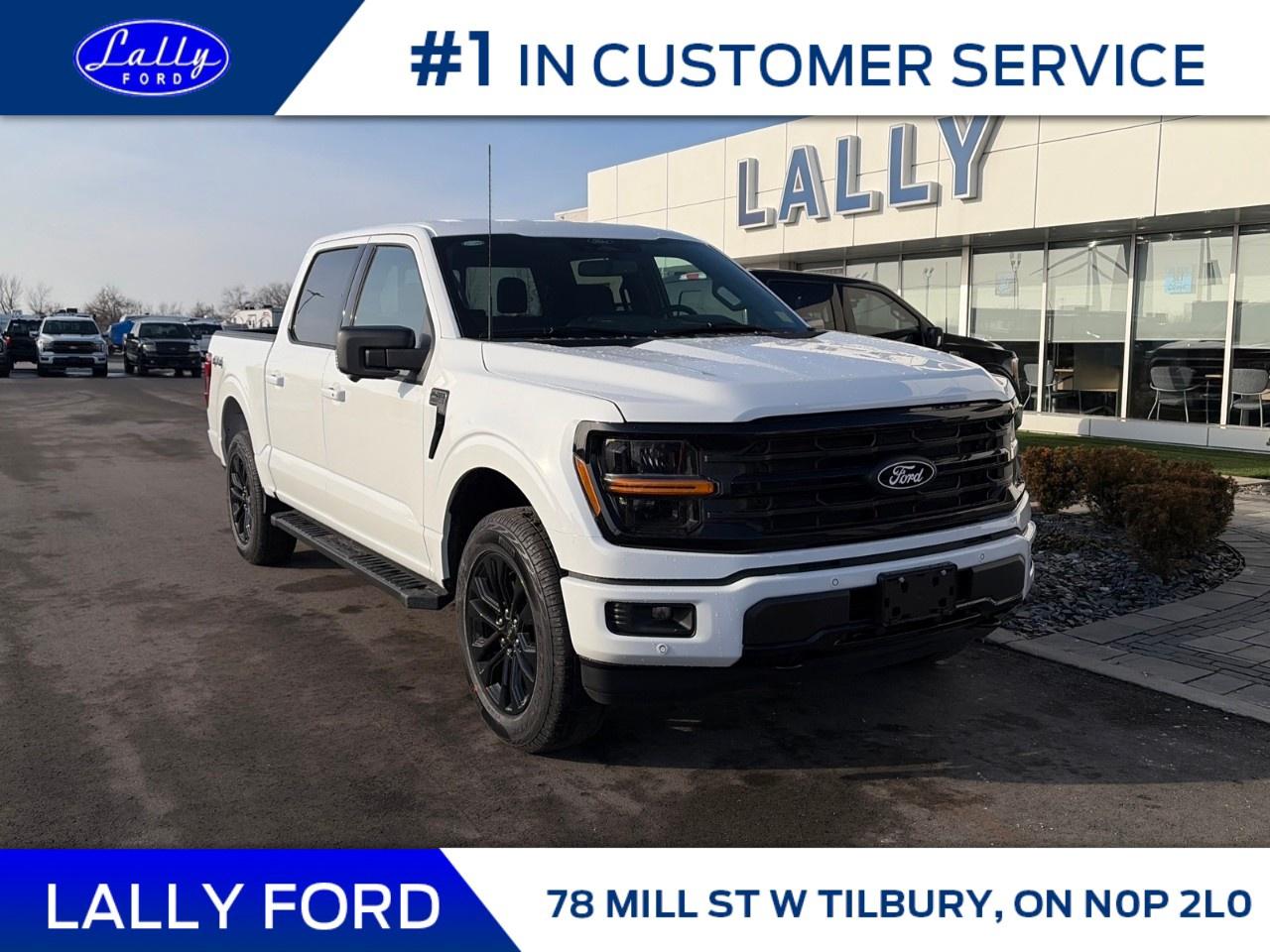 2025 Ford F-150 XLT 4WD SuperCrew 5.5' Box Photo