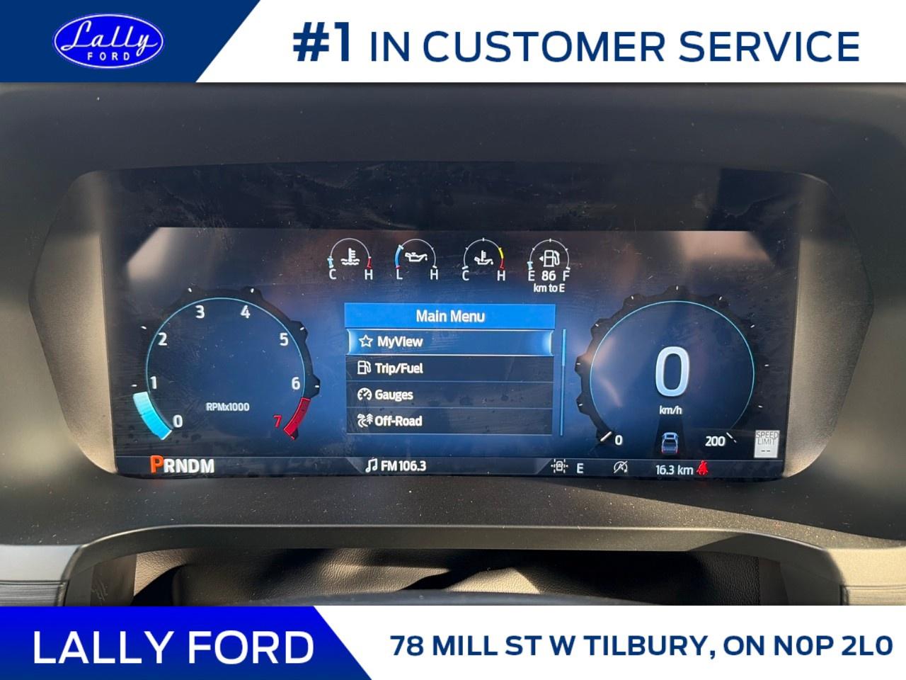 2025 Ford F-150 XLT 4WD SuperCrew 5.5' Box Photo