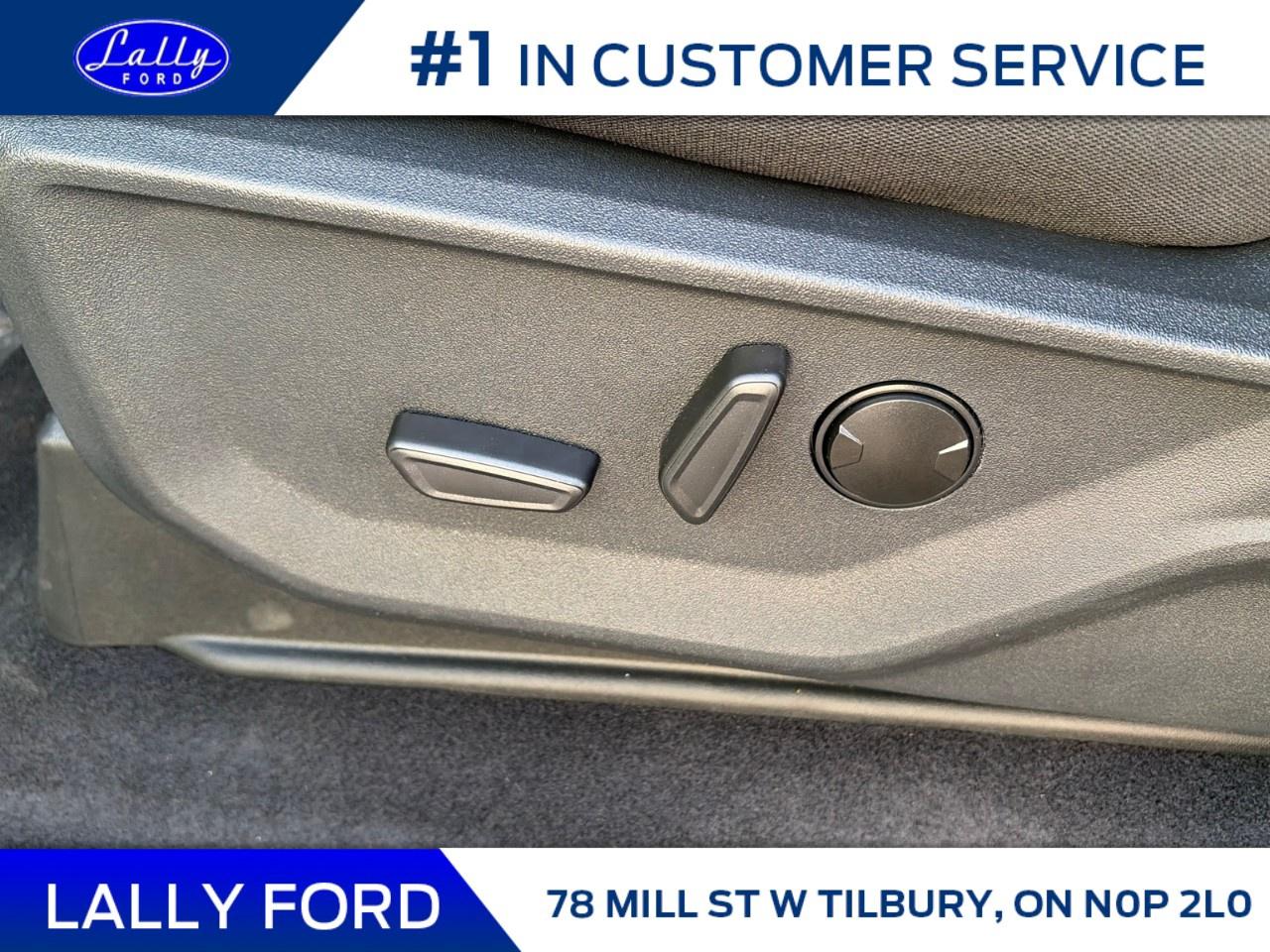 2025 Ford F-150 XLT 4WD SuperCrew 5.5' Box Photo