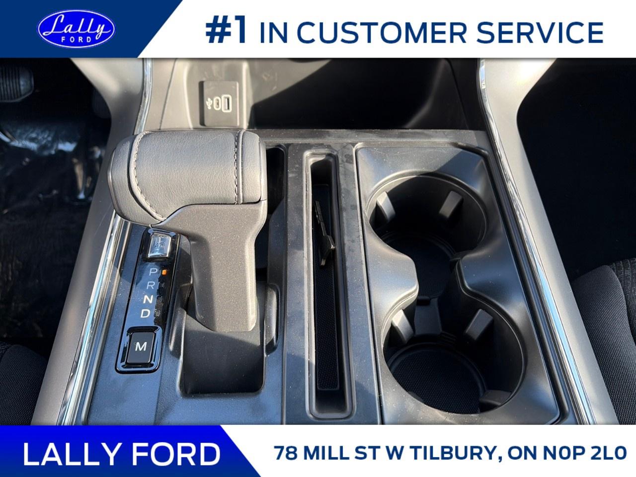 2025 Ford F-150 XLT 4WD SuperCrew 5.5' Box Photo