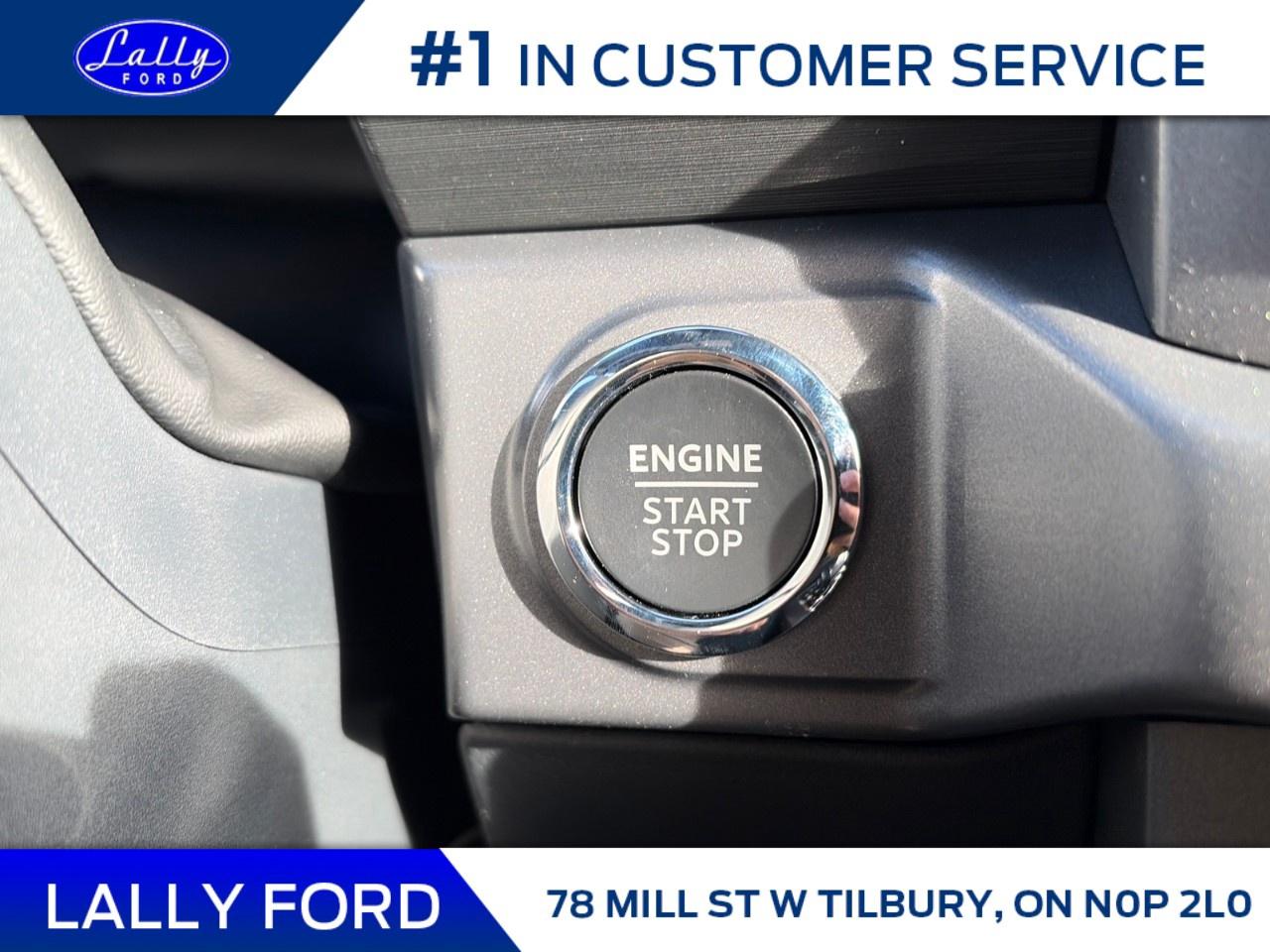 2025 Ford F-150 XLT 4WD SuperCrew 5.5' Box Photo